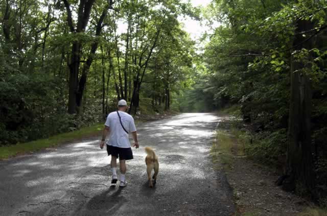 Heading Out on Bare Cove Path